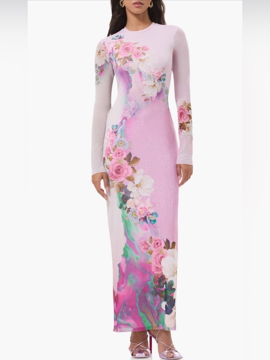 AFRM Dresses & Skirts - Afrm $88 Didi Mesh Long Sleeve Pink Floral Print Maxi Dress
